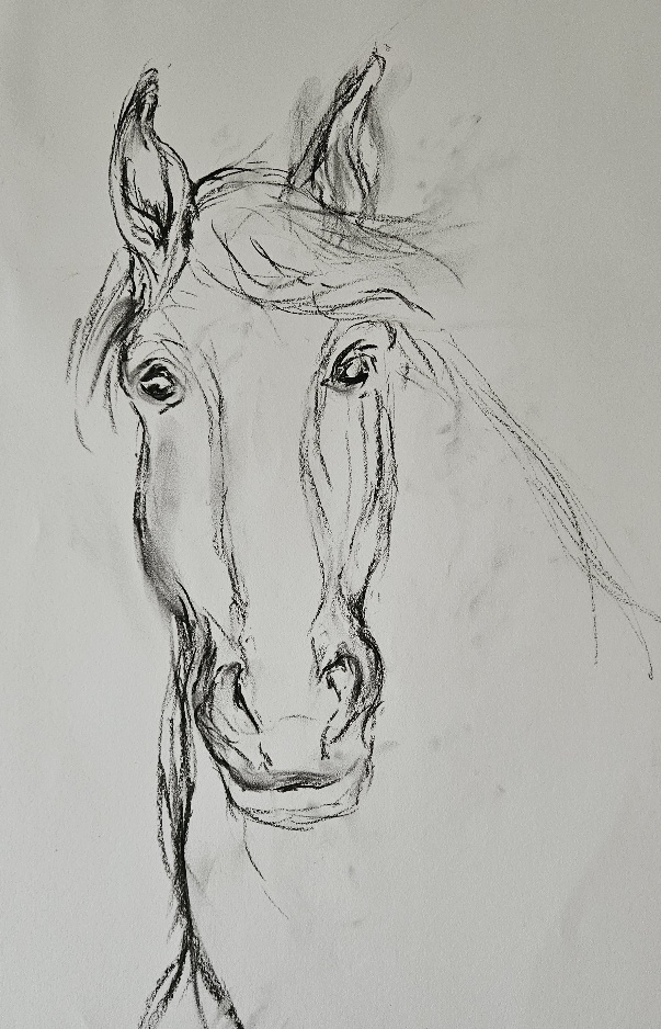 Gill's blog: Shaping Excellence – From the Year of the Wood Snake to the Year of the Fire Horse